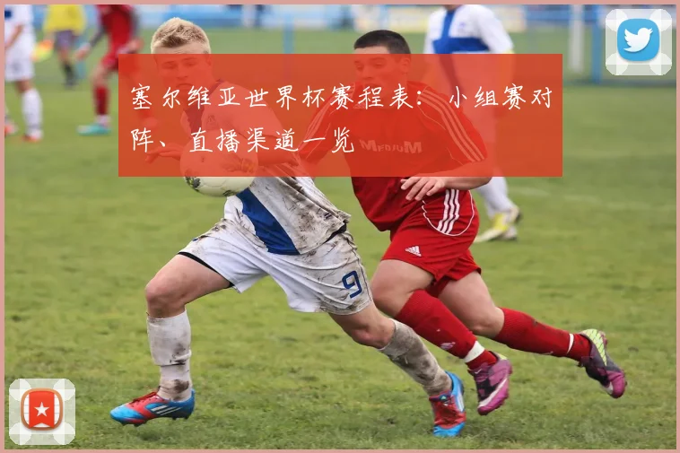 塞尔维亚世界杯赛程表:小组赛对阵、直播渠道一览